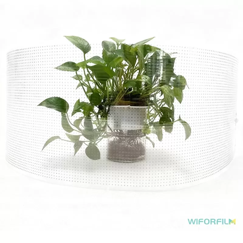 transparent LED window film